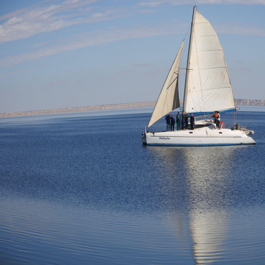 Dakhla : aventure en catamaran avec visite de l'île