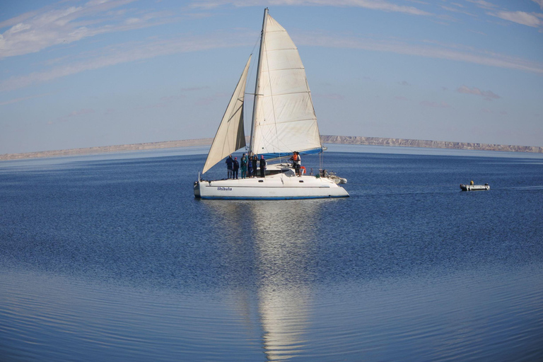 Dakhla: Catamaran Sailing Adventure with Island Visit