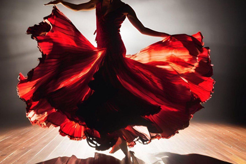 Malaga: Authentic Flamenco dinner show at Vino Mio