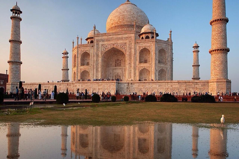 Taj Mahal Elegance Framed by Expert Photography