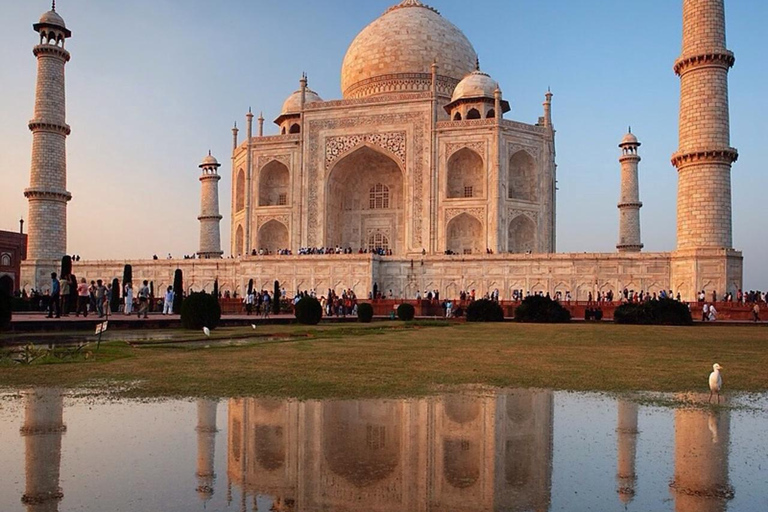 Taj Mahal Elegance Framed by Expert Photography
