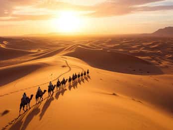 From Marrakech: 3-Day Sahara Desert Adventure to Fes