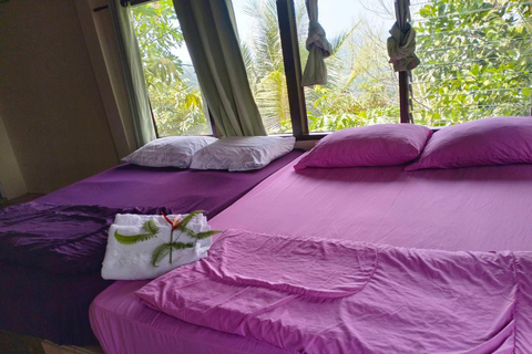 Khao Lak : Mer de brouillard sur une colline avec HomeStay One Night