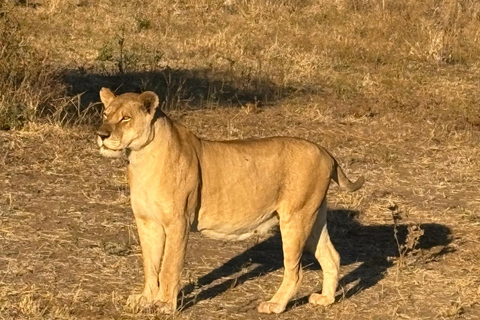 Victoria Falls safari Game Drive