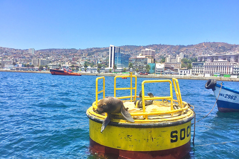 Valparaiso, Viña del Mar, vignoble, lions de mer et tour en bateau