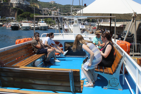 Capri: Blue Cruise with Guide from Sorrento, C.Stabia,Seiano From Seiano: Capri Blue Cruise
