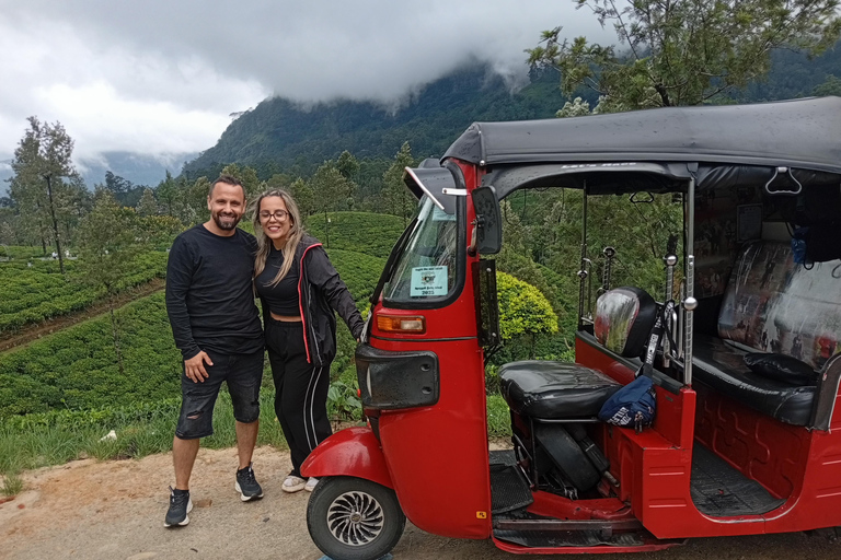 Kandy City Day tour by Tuk-Tuk Local guide , Waterfalls Hidden Gems of Kandy by Tuk-Tuk: Temples, Waterfalls