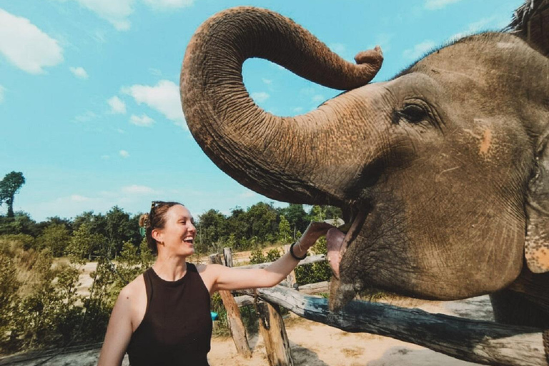 Visite du sanctuaire des éléphants et du temple de Banteay Srey au Cambodge