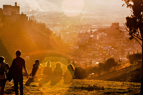 Granada: Alhambra & Nasrid Palaces Group Guided Tour