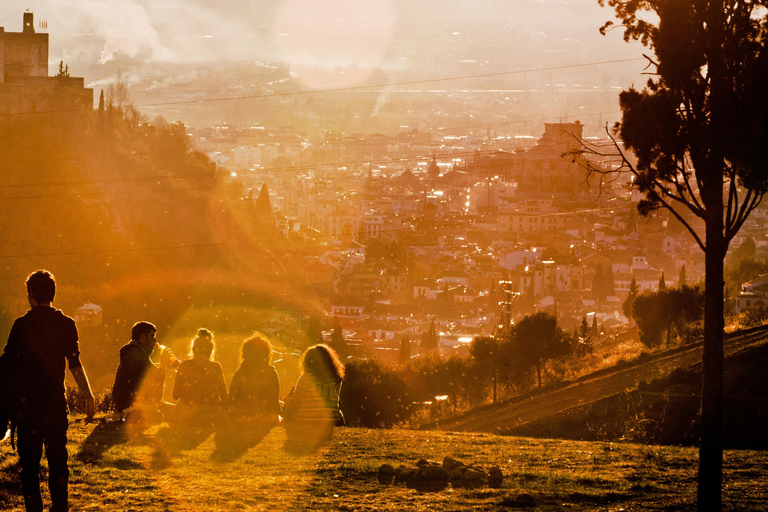 Granada: Alhambra & Nasrid Palaces Group Guided Tour