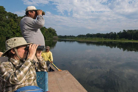 Manu: 7-Day Amazon Wildlife Tour with Jungle Lodges