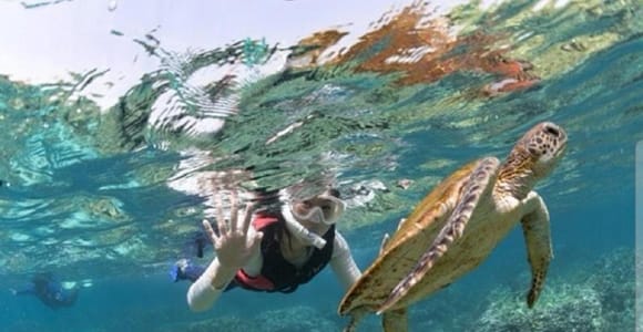 Muscat: Daymaniyat Islands Snorkeling Trip + BBQ-style Lunch