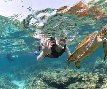 Muscat: Wycieczka snorkelingowa na wyspy Daymaniyat z lunchem BBQ