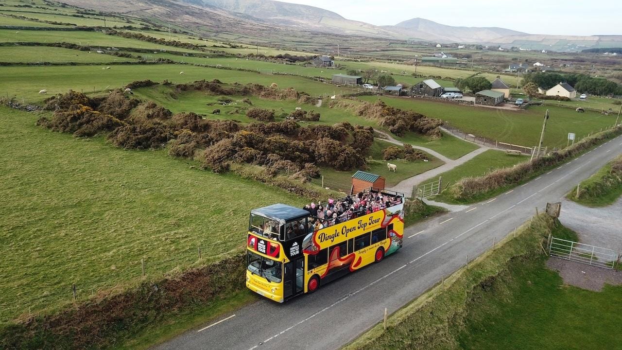 Dingle: 4-stündige Bustour im Open-Top-Bus mit Zwischenstopps
