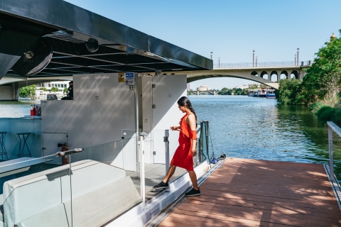 Sevilla: 1-stündige Guadalquivir Flussbesichtigung Eco CruisePrivate Kreuzfahrt - bis zu 11 Personen