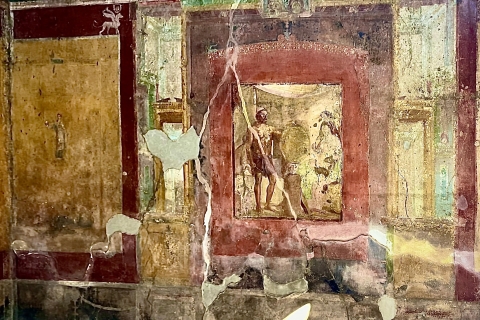 Z Positano: wycieczka z przewodnikiem po Pompejach z ominięciem kolejki