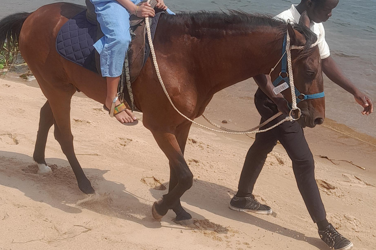 Desde Accra: 2 días Ada Aqua Safari Resort+Isla del Tesoro