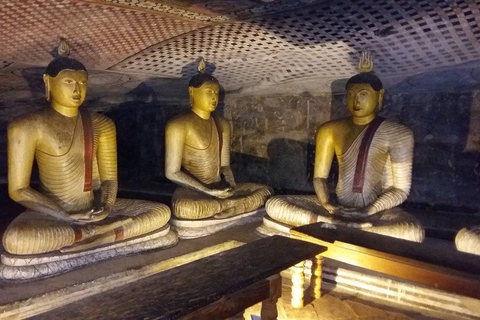 1 DAY Sigiriya, Dambulla, and Village Tour