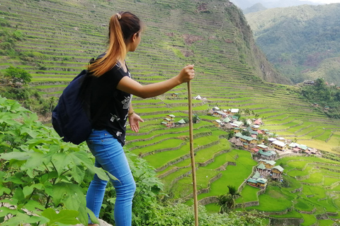 From Manila: Banaue Rice Terraces 3-Days Hiking Tour