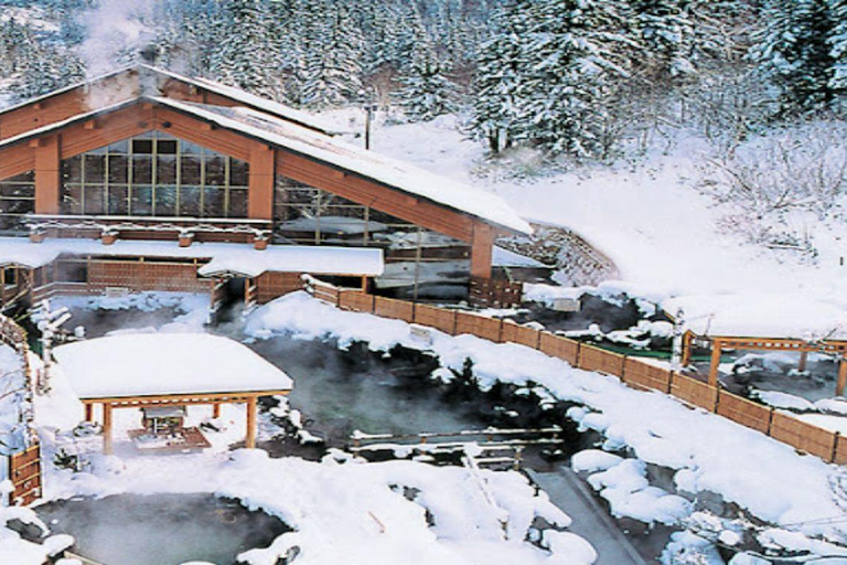 Sapporo: Biei & Furano Private Tour with Hot Spring