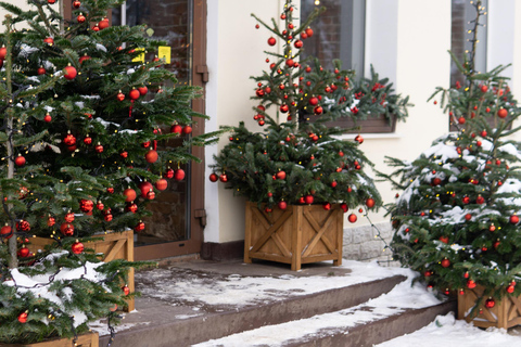 Vancouver’s Festive Shoreline: A Christmas Walking Tour