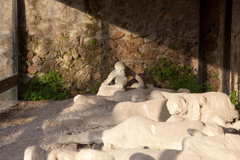 Z Positano: wycieczka z przewodnikiem po Pompejach z ominięciem kolejki