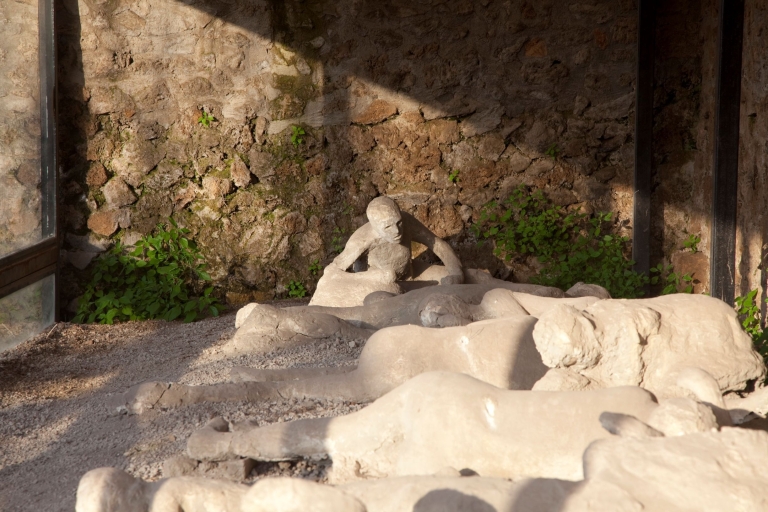 Van Positano: rondleiding door Pompeii met Skip the Line