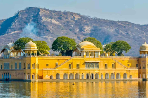 Delhi to Jaipur Tour - 1 Day - From Delhi