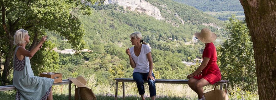 Visite découverte de la lavande avec dégustation