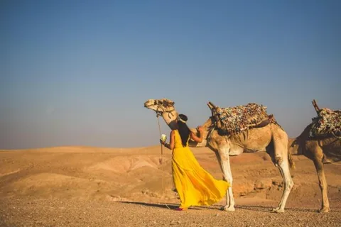 Lunch & Swimming Camel Ride and Quad Biking in Agayaf