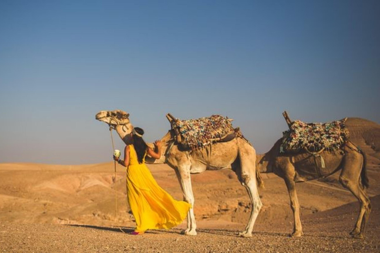 Mittagessen &amp; Schwimmen Kamelritt und Quadfahren in Agayaf