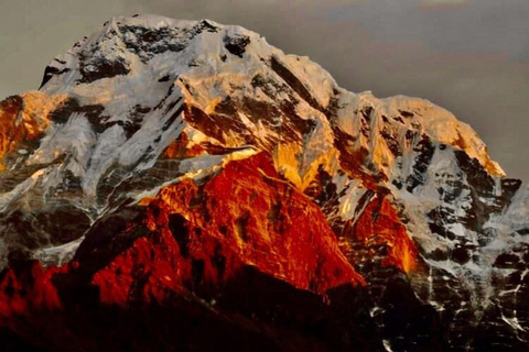 Pokhara: Trekking al Mardi Himal con 1 Noche en Campamento en el Bosque