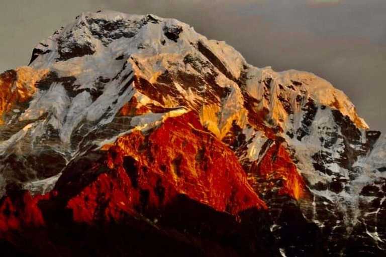 Pokhara: Mardi Himal Trek met 1 Nacht in een Boskamp