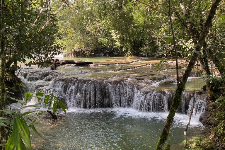 Van Palenque: Raften, Caminata en Selva en Bonampak