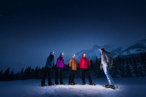 Banff/Canmore: PRIVATE Stargazing & Northern Lights Tour