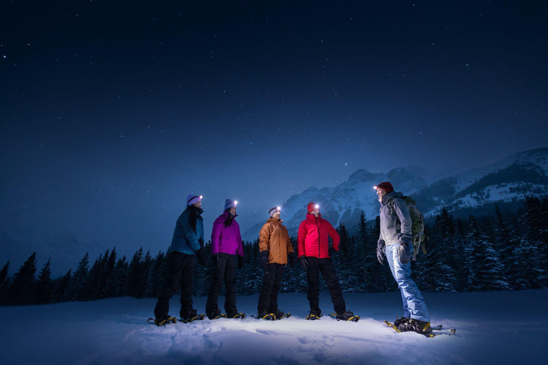 Banff/Canmore: PRIVATE Stargazing & Northern Lights Tour