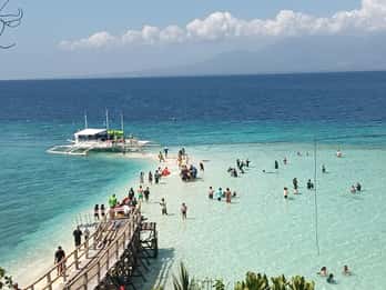 Cebu: Walhai-Beobachtung, Sumilon Island und Moalboal...
