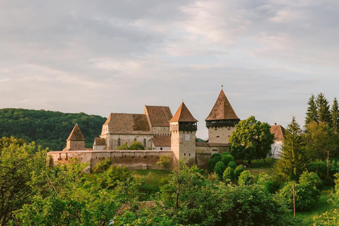 Transylvania 4-Day Tour: Castles, Bears & UNESCO