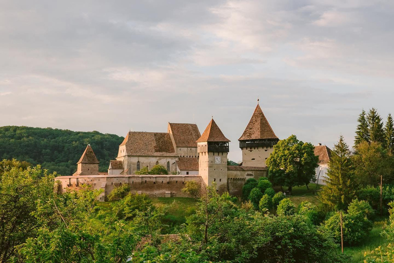 Transylvania 4-Day Tour: Castles, Bears & UNESCO