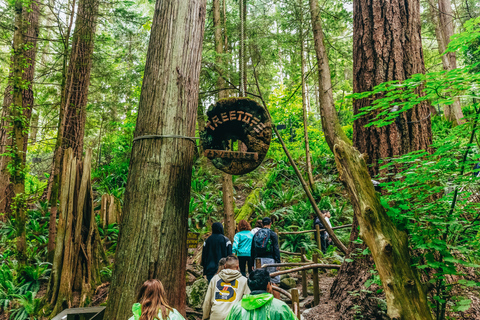 Vancouver e Capilano Suspension Bridge Sightseeing: Meio diaExcursão de Natal: Luzes do Capilano Canyon