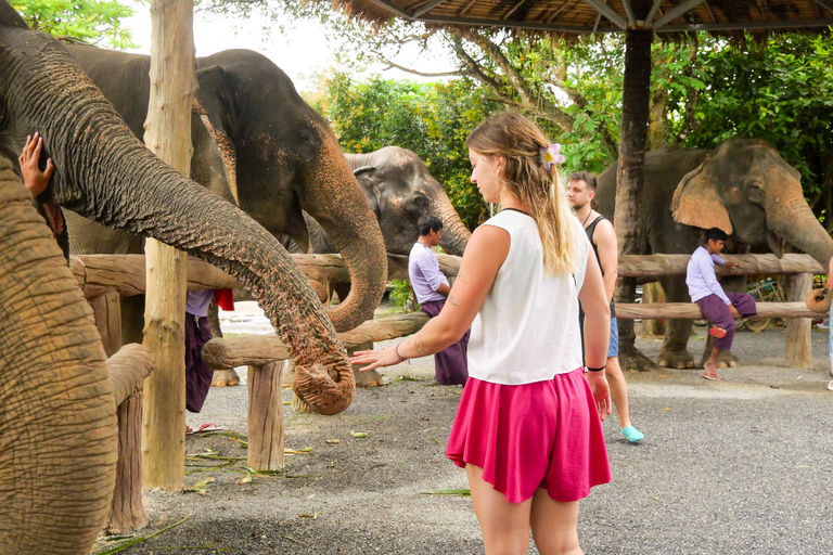 Krabi: Ao Nang Elephant Sanctuary Tour