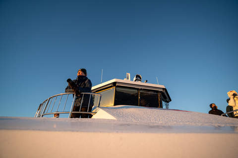 Von Tromsø aus: Walbeobachtungs-Safari auf dem Hochgeschwindigkeits-Katamaran