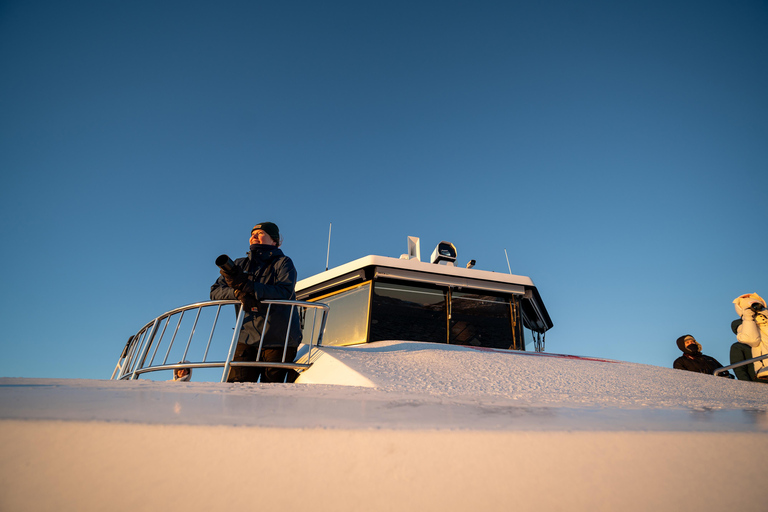 Von Tromsø aus: Walbeobachtungs-Safari auf dem Hochgeschwindigkeits-Katamaran