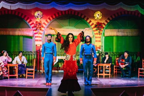 Sevilla: Flamenco-Show im El Palacio Andaluz & Dinner-OptionFlamenco-Show im El Palacio Andaluz & Getränk