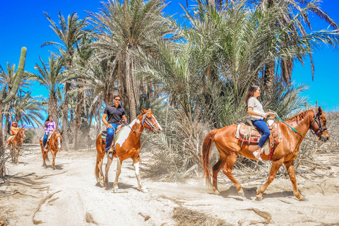 Cabo San Lucas: Reiten in Migriño mit Transfers