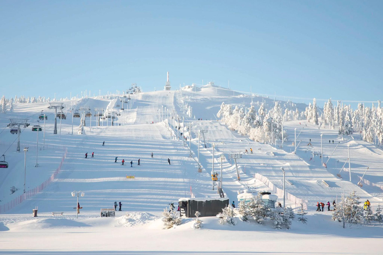 Rovaniemi: Ruka Coaster & Winter Adventure Day Trip ⭐ Ruka Premium | 10h | Full Winter Adventure