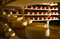 Magic, wine and cheese, Bernal and Tequis Day Trip - Housity