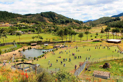 Visit to Porcon and Otuzco Farm in Cajamarca