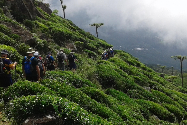 Sri Lanka Holidays with one week trekking the pekoe trail