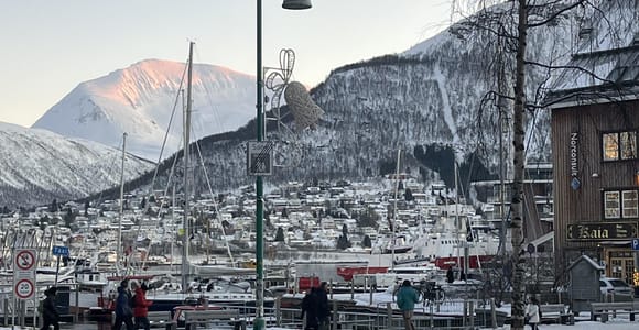 Tromsø: Guided Photography Walk with Editing Session
